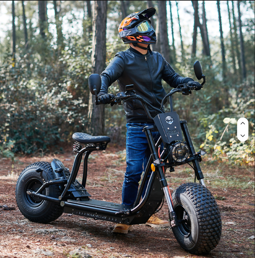 60V 3000W Fat-Tire Electric Citycoco Moto Scooter
