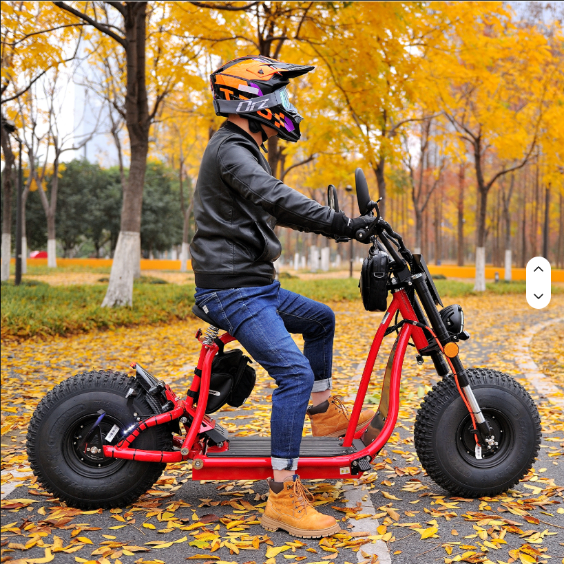 60V 3000W Fat-Tire Electric Citycoco Moto Scooter