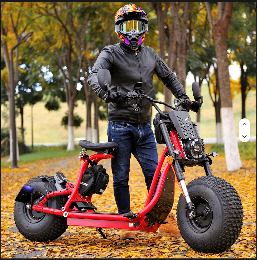60V 3000W Fat-Tire Electric Citycoco Moto Scooter