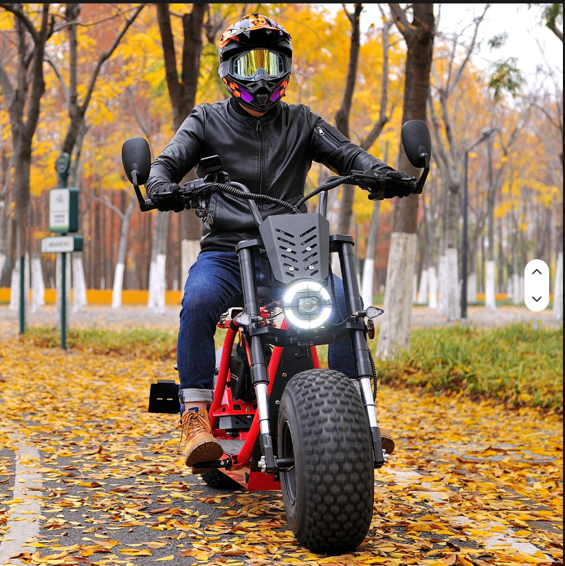 60V 3000W Fat-Tire Electric Citycoco Moto Scooter