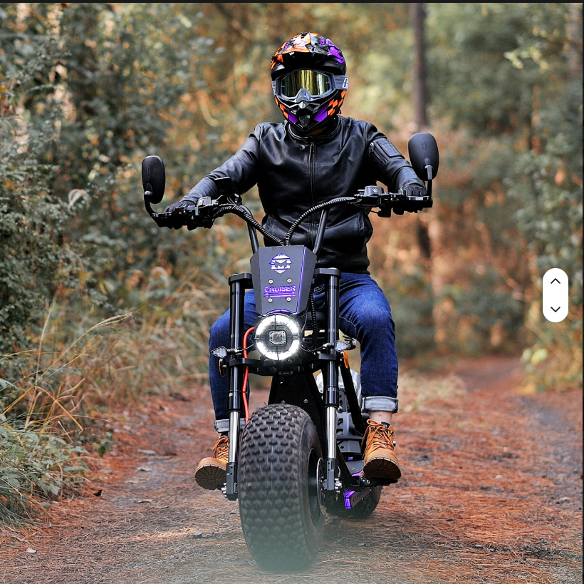 60V 3000W Fat-Tire Electric Citycoco Moto Scooter