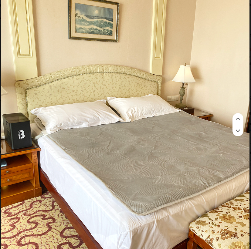 Water-Circulated Cooling and Heating Mattress Pad System